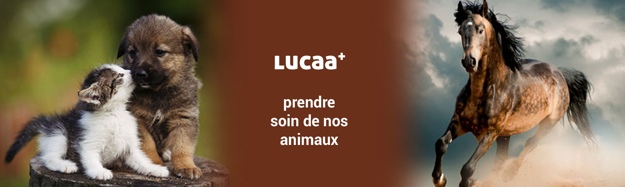LUCAA+ pour les animaux